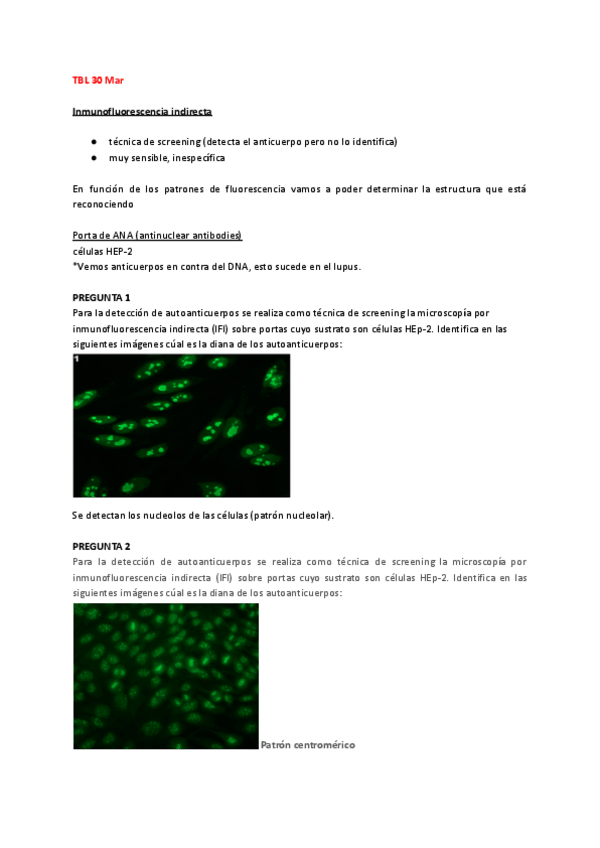 Miniatura del documento TBL-7.pdf