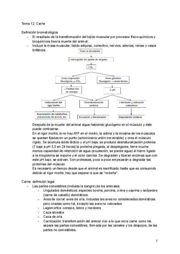 Miniatura del documento Tema-12.pdf