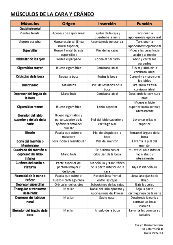 Miniatura del documento TABLAS-DE-MUSCULOS-EVELYN-RUBIO-CABRERA.pdf