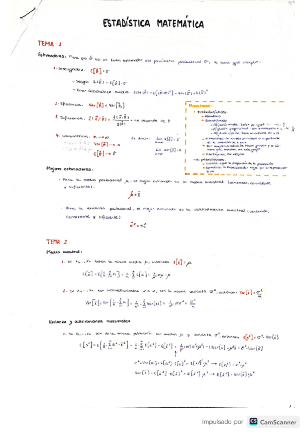 Miniatura del documento Resumen.pdf