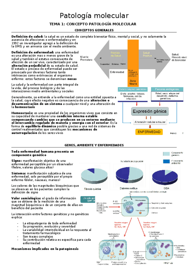 Miniatura del documento Patologia-molecular.odt