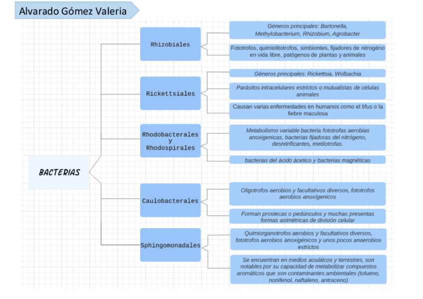 Miniatura del documento Bacterias.pdf