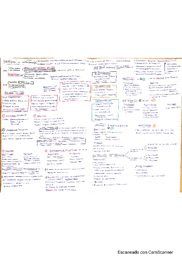 Miniatura del documento Farmacologia.pdf