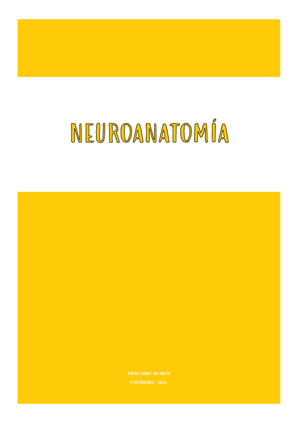 Miniatura del documento NEUROANATOMIA-1er-parcial.pdf