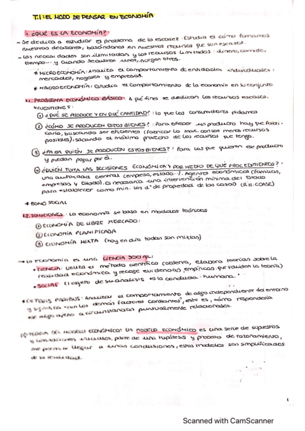 Miniatura del documento temas 1 2 3 micro