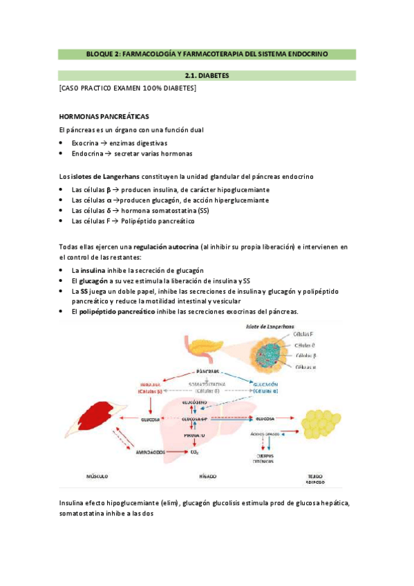 Miniatura del documento apuntes-bloque-2.pdf