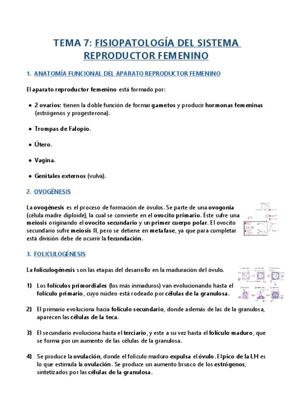 Miniatura del documento TEMA-7.pdf