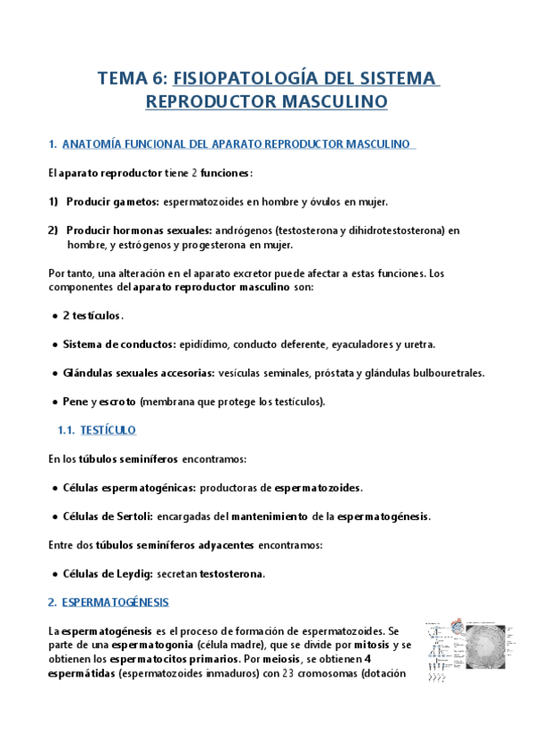 Miniatura del documento TEMA-6.pdf