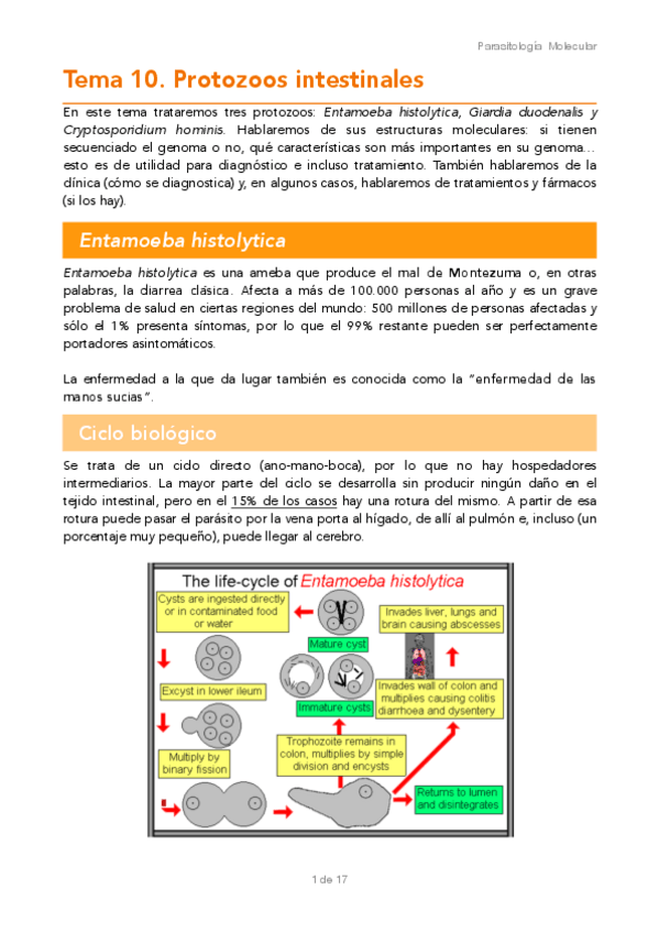 Miniatura del documento TEMA-10.pdf