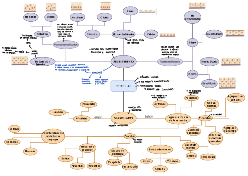 Miniatura del documento Tejidos.pdf