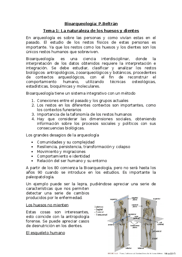 Miniatura del documento Bioarqueologia.docx