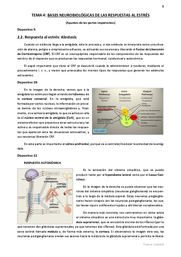 Miniatura del documento Apuntes tema 4 farma.pdf