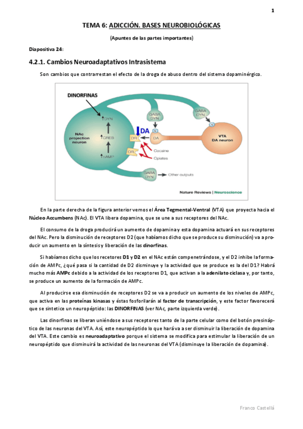 Miniatura del documento Apuntes tema 6 farma.pdf