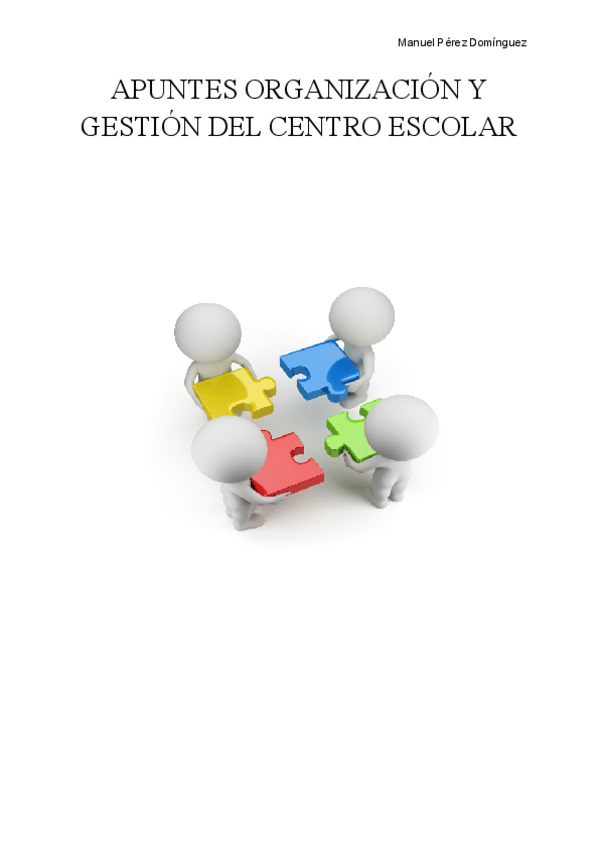 Miniatura del documento APUNTES-ORGANIZACION-.pdf