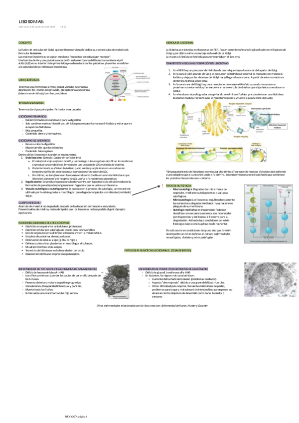 Miniatura del documento LISOSOMAS.pdf