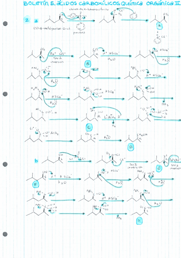 Miniatura del documento ANA-BOLETINES-QO2-47-52.pdf