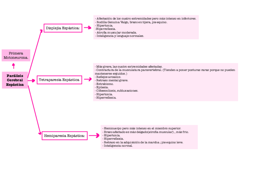 Miniatura del documento Esquema-Paralisis-Cerebrales.pdf