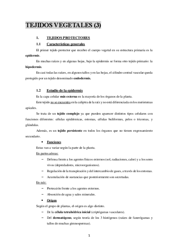 Miniatura del documento TEJIDOS-VEGETALES-3.pdf