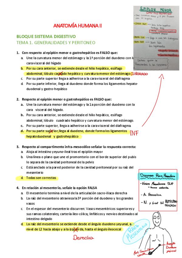 Miniatura del documento digestivo por temas RESPUESTAS.pdf