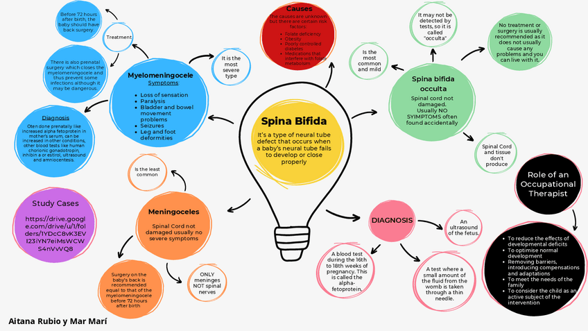 Miniatura del documento Mapa-Mental-TEMA-2-SPINA-BIFIDA-Mar-Mari-Miguel.pdf