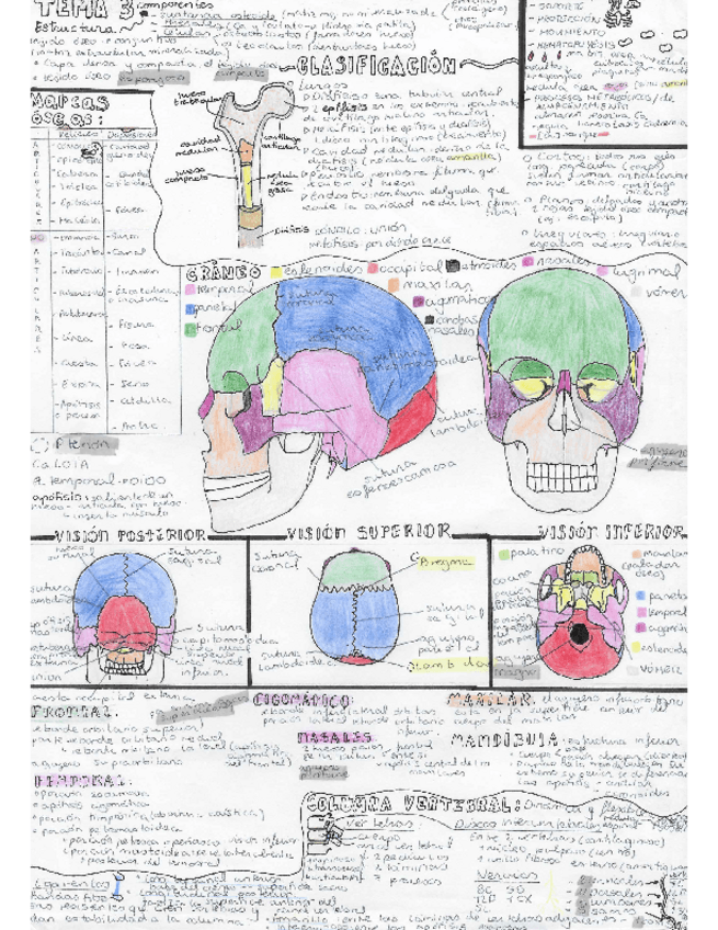 Miniatura del documento Tema-3.pdf