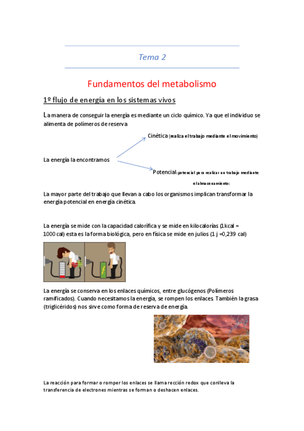 Miniatura del documento tema-2.pdf