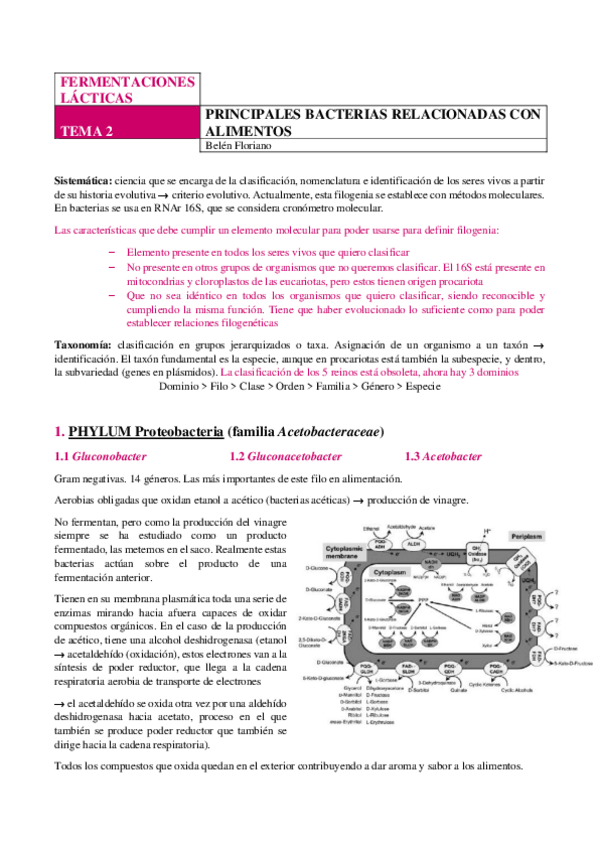 Miniatura del documento LACTICAS-TEMA-2.pdf