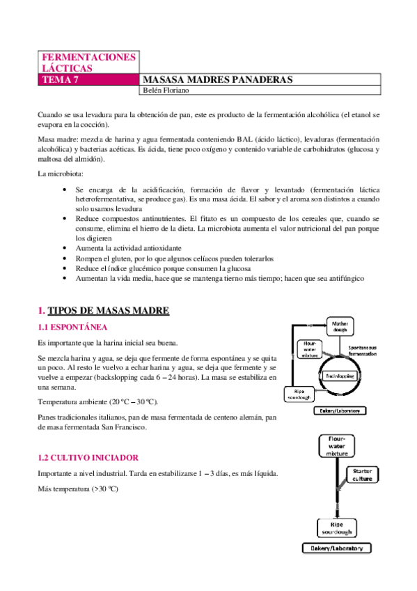 Miniatura del documento LACTICAS-TEMA-7.pdf