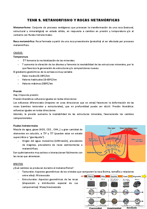 Miniatura del documento TEMA-9.pdf