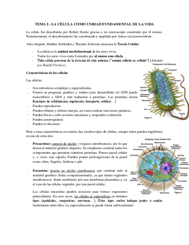 Miniatura del documento Tema 1 - La Célula.pdf