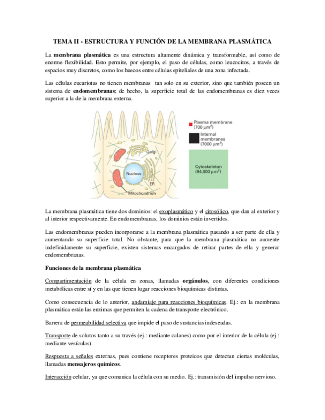 Miniatura del documento Tema 2 - Membrana Plasmática.pdf