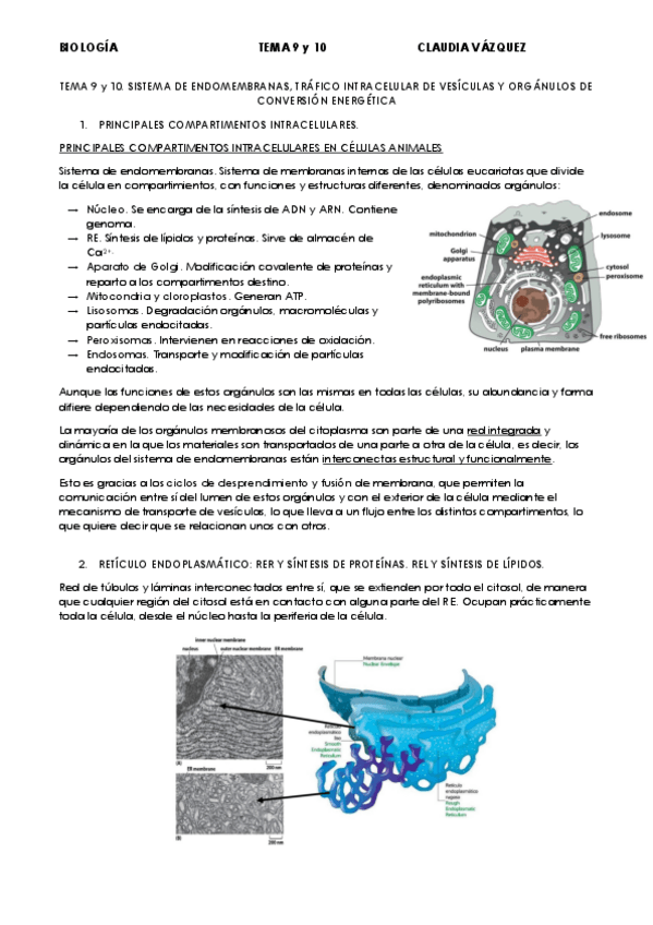Miniatura del documento TEMA-9-y-10.pdf