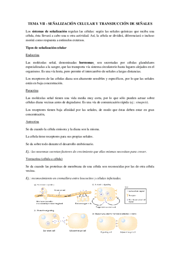 Miniatura del documento Tema 7 - Señalización y Comunicación Celular.pdf