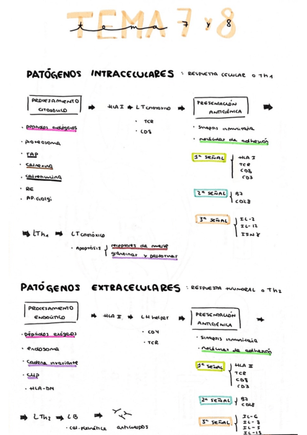 Miniatura del documento Tema-7-y-8-dibujos.pdf