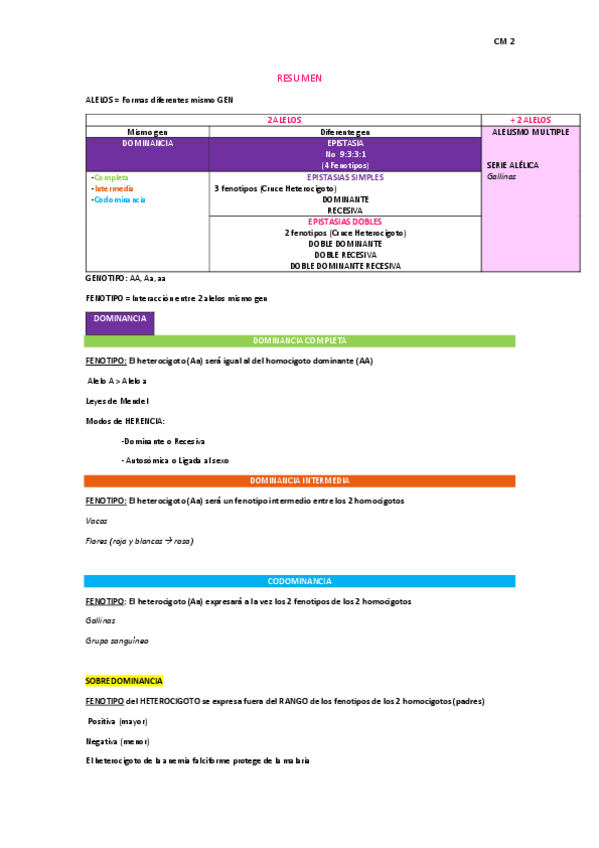 Miniatura del documento RESUMEN.pdf