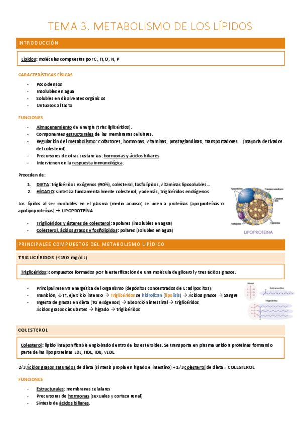 Miniatura del documento TEMA 3.2. METABOLISMO DE LOS LÍPIDOS.pdf