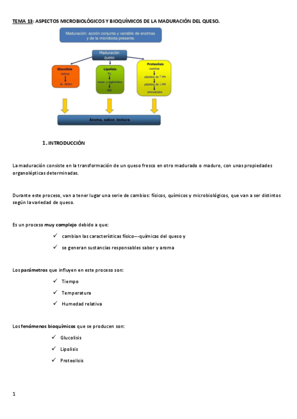 Miniatura del documento TEMA-13-introduccion.pdf