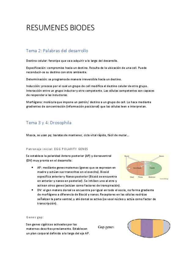 Miniatura del documento RESUMENES-BIODES.pdf