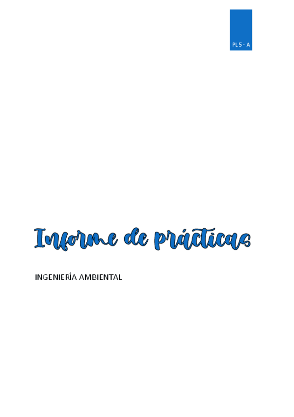 Miniatura del documento Informe-PLs.pdf
