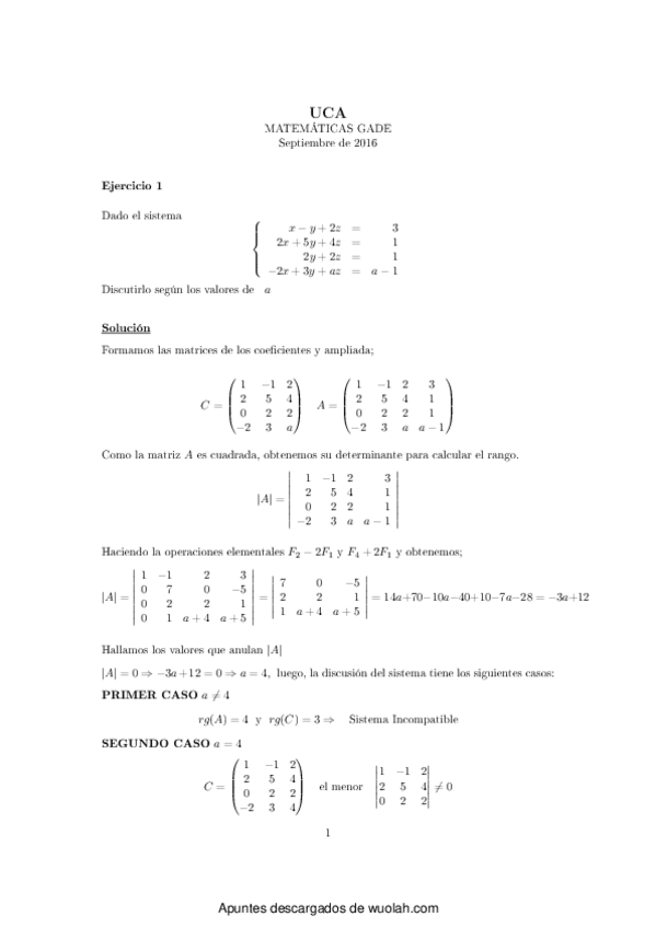 Miniatura del documento Examen matemáticas resuelto.pdf