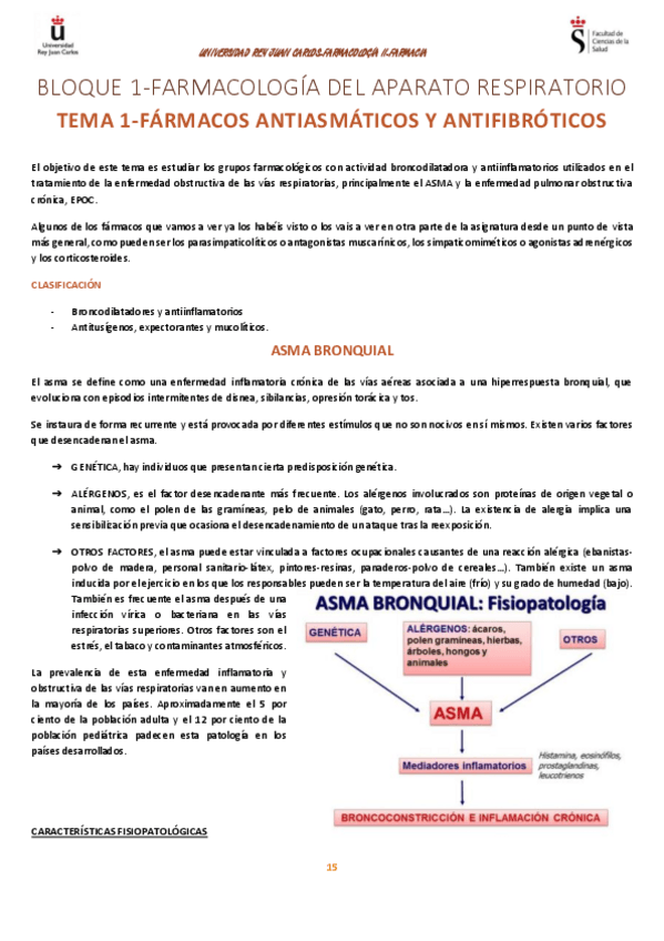 Miniatura del documento BLOQUE-1.pdf