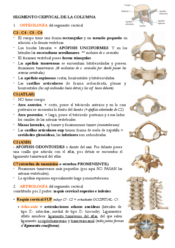 Miniatura del documento 5.pdf