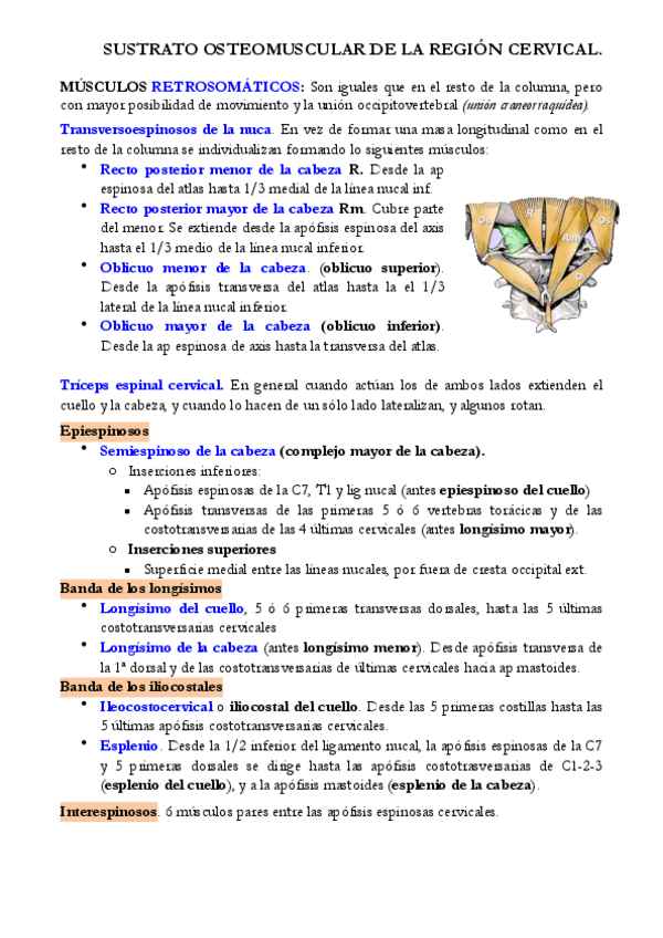 Miniatura del documento 13.pdf