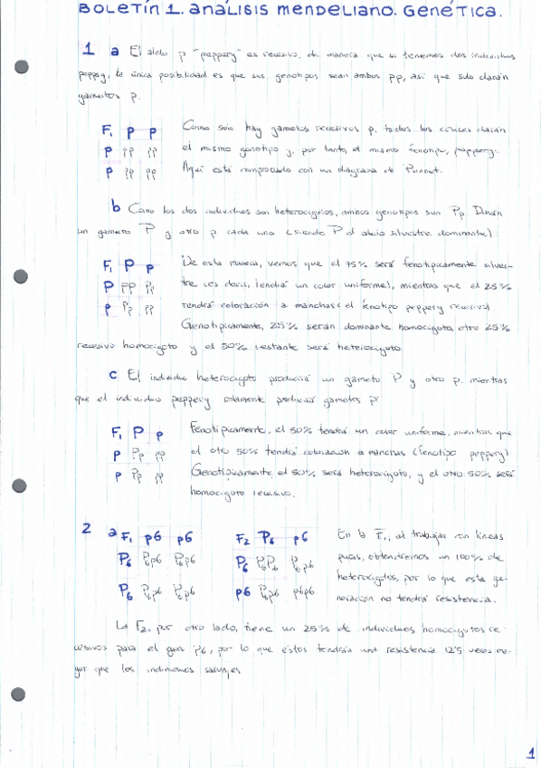 Miniatura del documento BOLETINES-RESUELTOS-GENETICA-2022-1-10.pdf