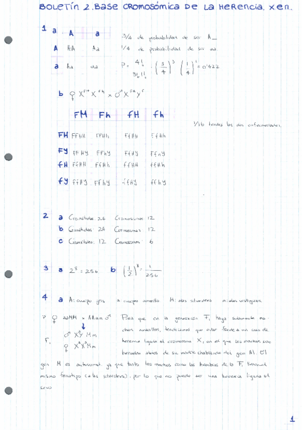 Miniatura del documento BOLETINES-RESUELTOS-GENETICA-2022-11-14.pdf
