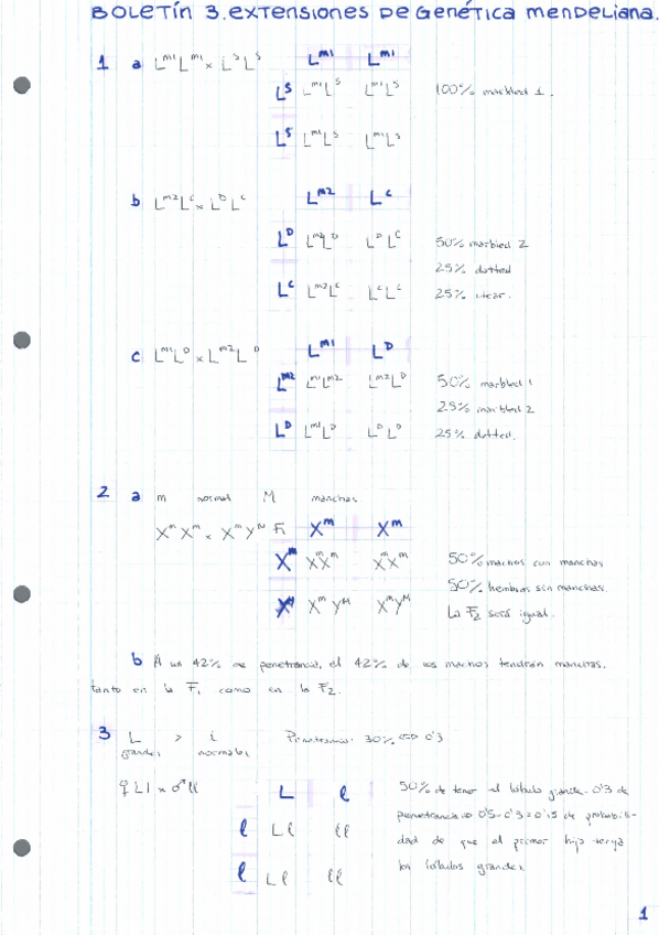 Miniatura del documento BOLETINES-RESUELTOS-GENETICA-2022-15-18.pdf