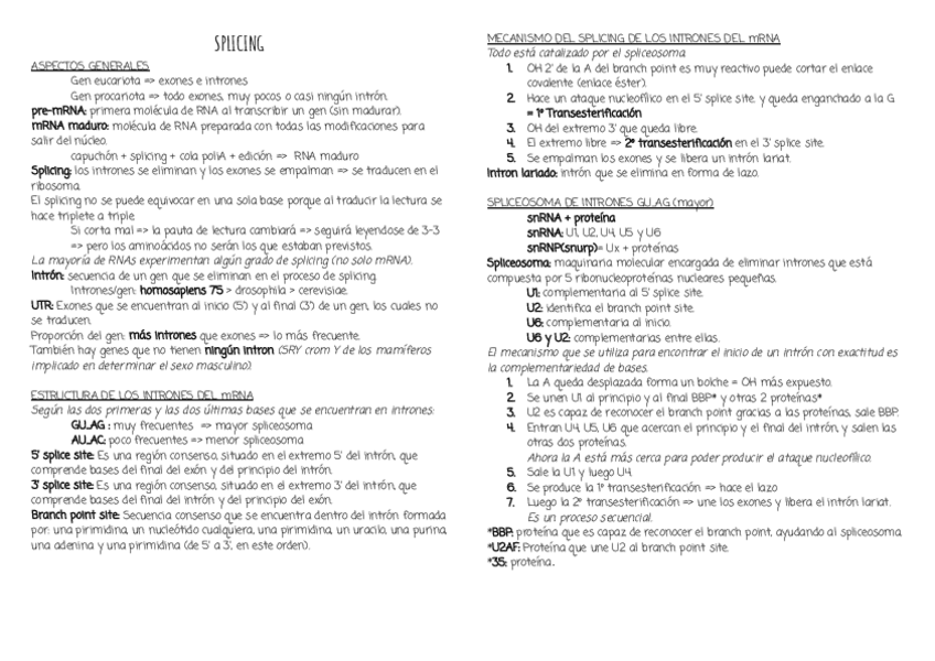 Miniatura del documento SPLICING-1.pdf