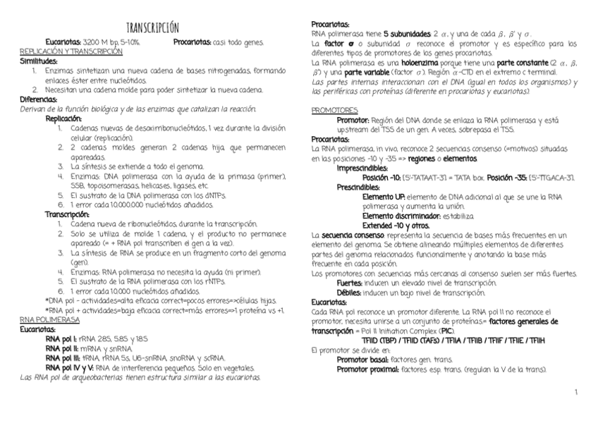 Miniatura del documento TRANSCRIPCION-2.pdf