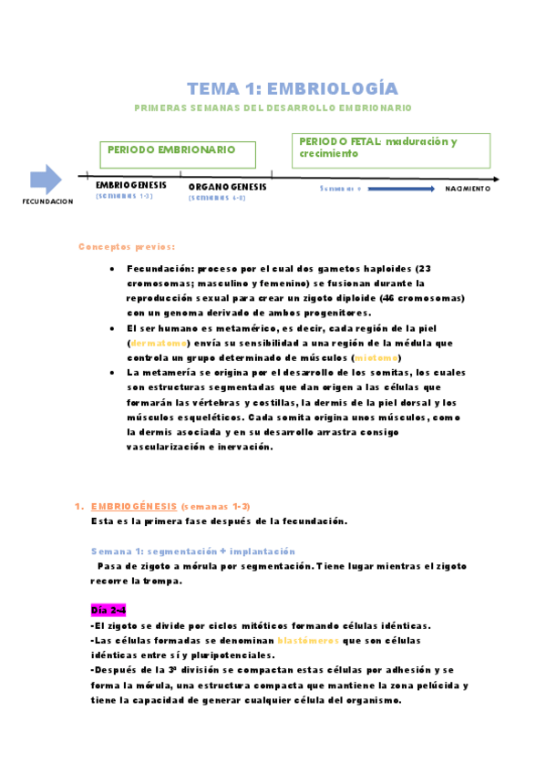 Miniatura del documento Apuntes anatomía (T.1-9)