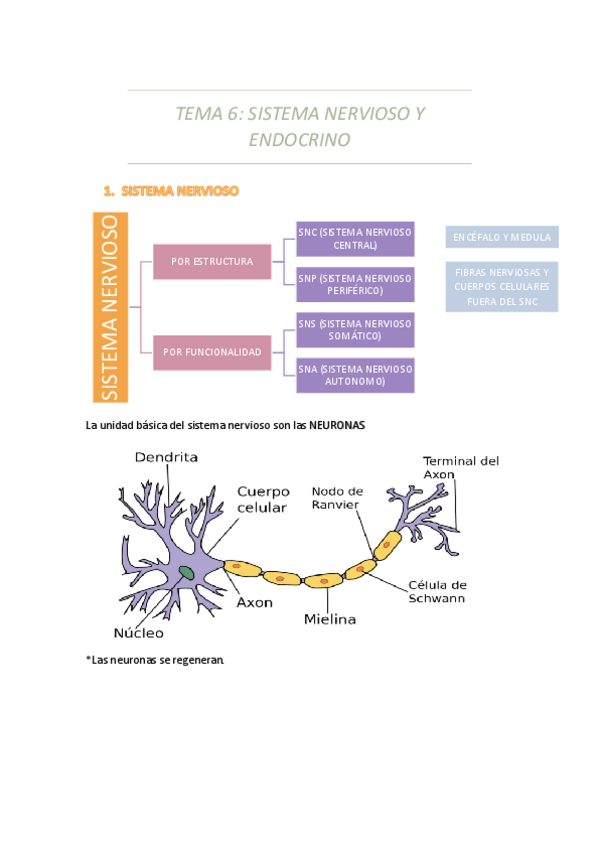 Miniatura del documento TEMA-6.pdf